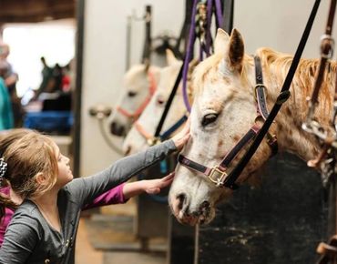 A young girl gently pets a horse in a stable, surrounded by other horses and people.