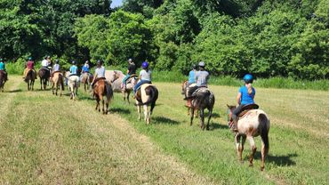 A group of people horseback riding on a grassy trail near trees.