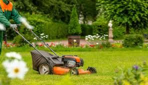 Professional landscape maintenance lawn mowing