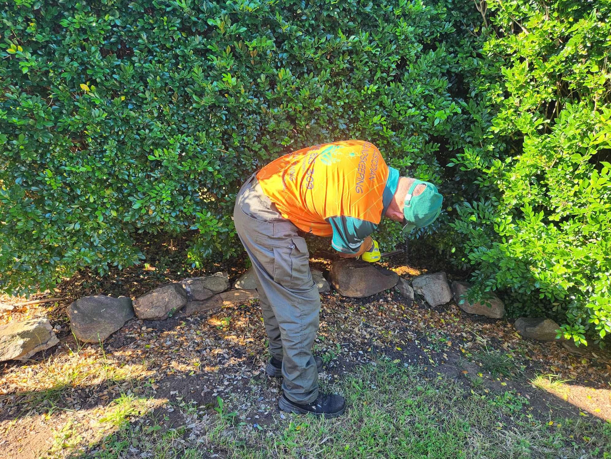 Professional Gardener maintaining a hedge.
