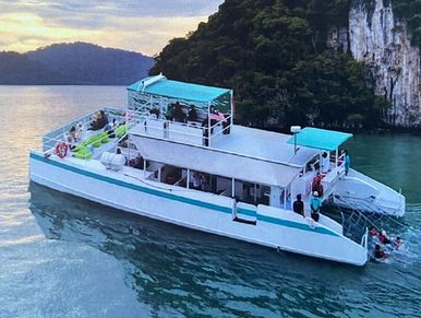 Singer catamaran cruising near a limestone cliff, with guests on board and a sea net in the water