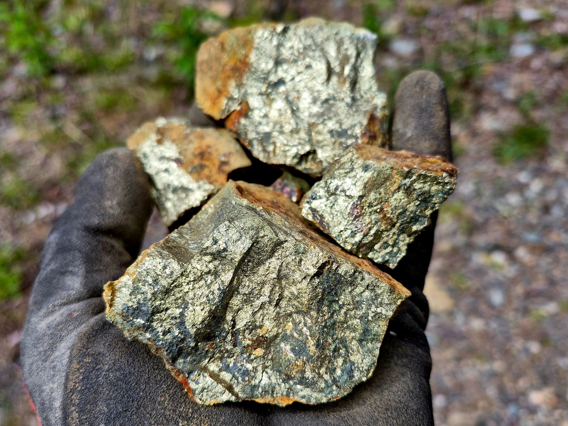 Hand holding shiny, metallic rock samples outdoors.
