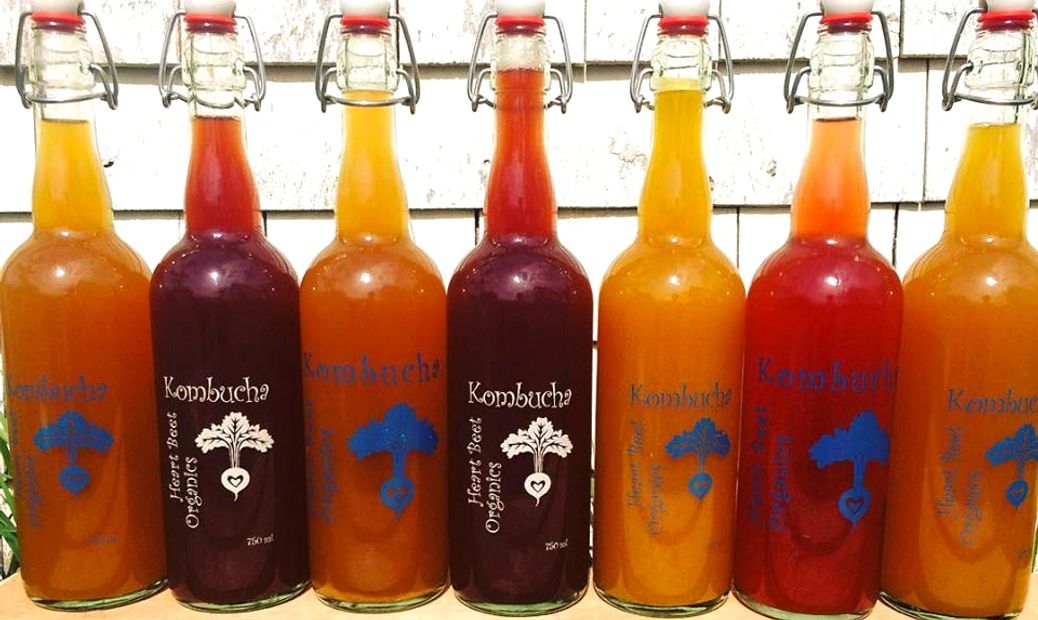 kombucha bottles, organic, organic kombucha, pei kombucha,