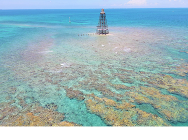 Snorkeling In Key West Florida