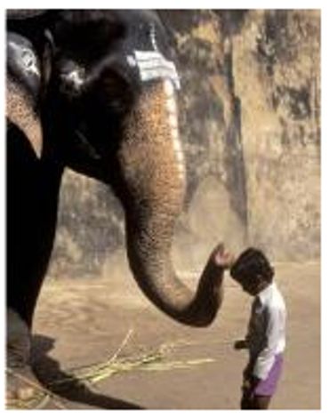 photo from India Unveiled, Spirit, Tradition, People by Robert Arnett, most insightful India books.