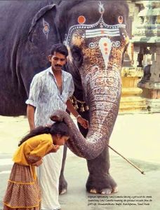Photo from India book, India Unveiled by Robert Arnett, one of the best books on India.