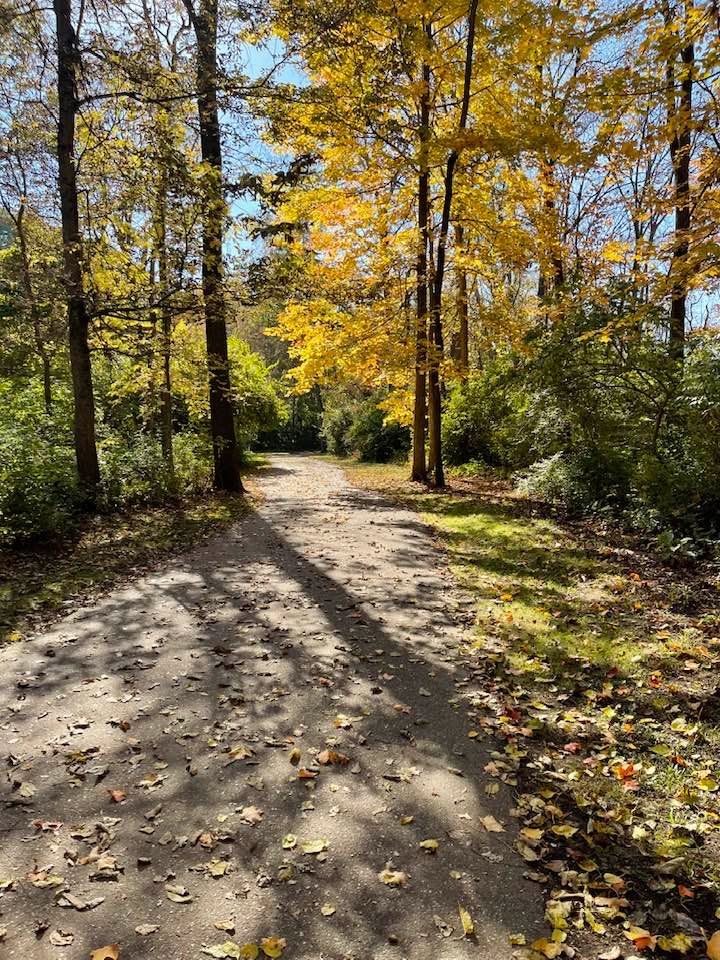 Flushing, Michigan County Park Trail