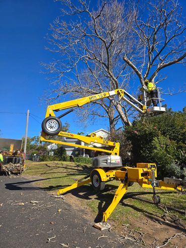 Worker trimming tree branches using a yellow hydraulic lift under a clear blue sky.