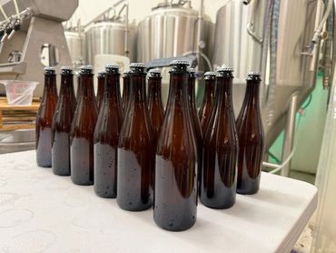 A row of fresh beer bottles lined up in the brewhouse