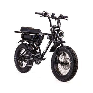 Electric bike insurance.