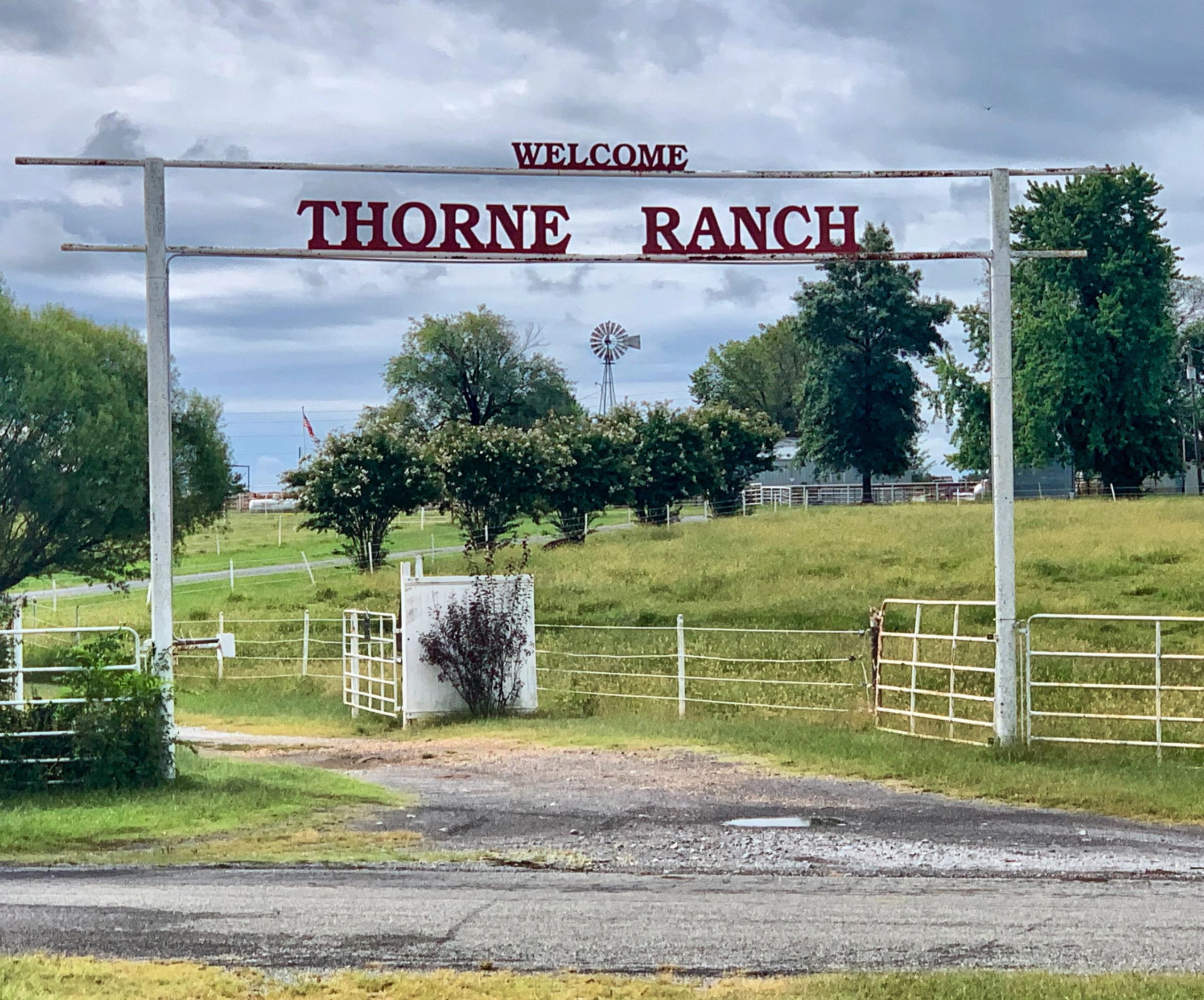Aw Thorne Land  Cattle Inc