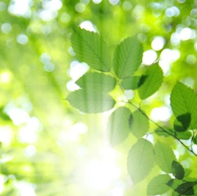 Lider Koçluğu kendini bulma tercih