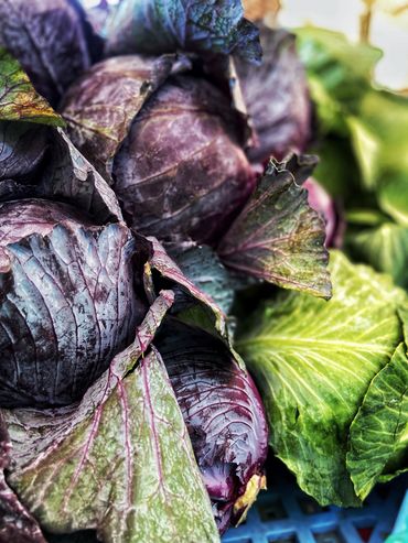 Purple cabbage Farmers market Vlog with TheWrightBaker iPhone