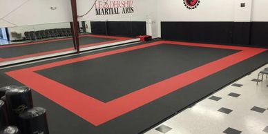 Martial arts training facility for karate kickboxing and Brazilian JiuJitsu lessons