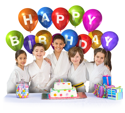 Martial Arts Birthday Party for kids