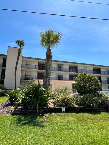 Condo palm tree trimming