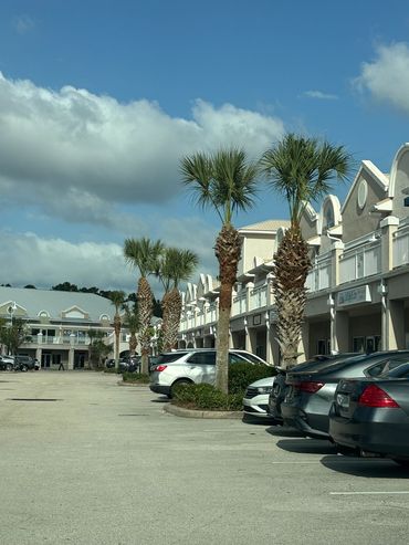 Plaza palm tree trimming