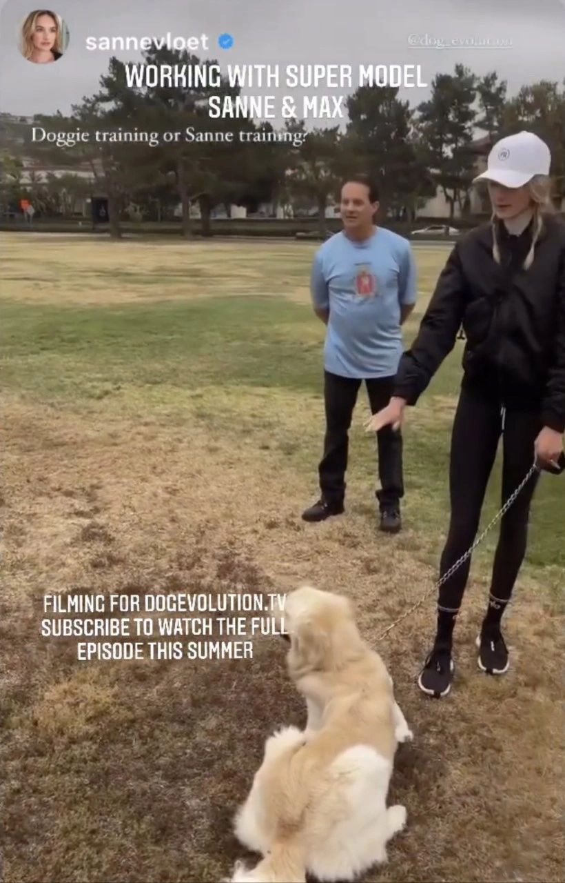 Instagram post sannevloet doggie training or Sanne training?