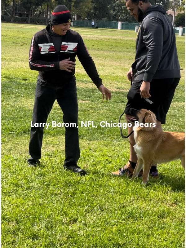 Larry Borom NFL Chicago Bears training with Kane his puppy. Private lesson with David Utter.