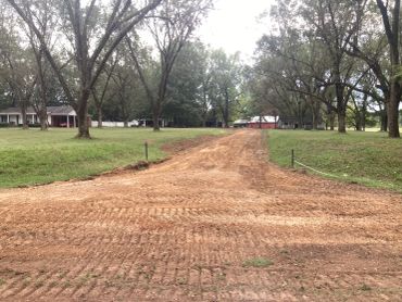 Dirt road lined with trees leading to houses and a red barn.
