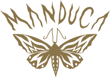 Logotipo de mariposa con texto 'MANDUCA'.