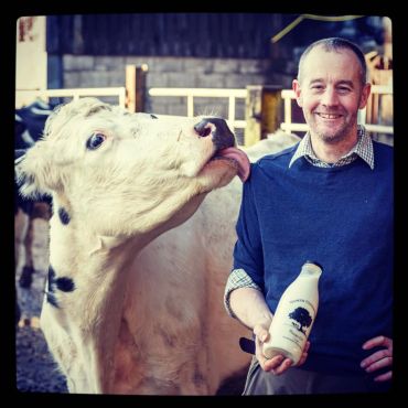 happy cows, family farm, milk vending machine, cow, dairy, farm shop, grass to glass