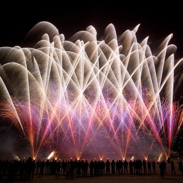Sports Club Firework Displays for Bonfire Night