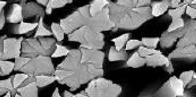 Electron microscop images of microfiber 