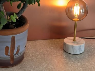 A succulent plant in a pot next to a modern lamp.