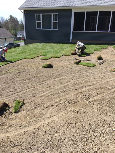 Sod Installation