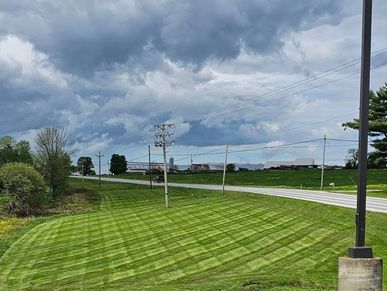 Mowing Services