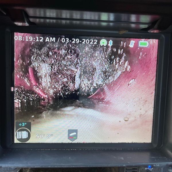 Roots in sewer pipe