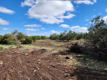 Cleared land with scattered bushes under a partly cloudy blue sky.