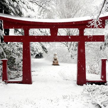Chinese Garden