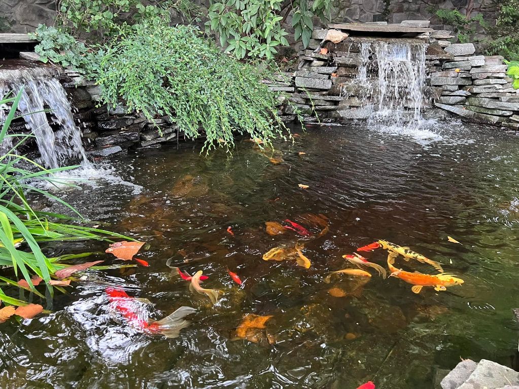 Nothing like a Fresh clean Pond ,