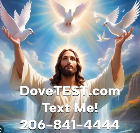 a banner with dove test com