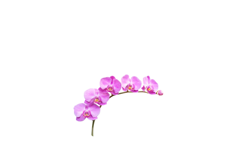 image259