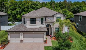 Luxury home sold in Trinity FL