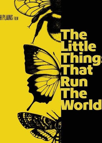 Artwork featuring insects and the title 'The Little Things That Run The World'.