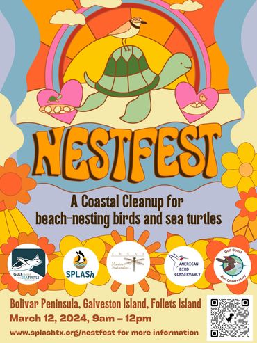 nestfest flyer 1
