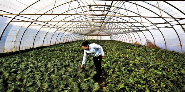agriculture, development, clean energy, renewable energy, community development, investment company