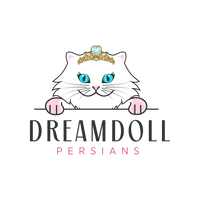 -Dreamdoll Persians-

We have kittens available! Please inquire. 