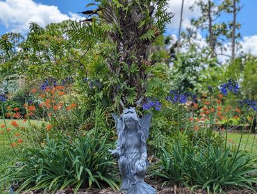 16566 reed stem orchids, African lily