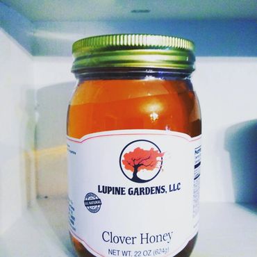 Clover Honey