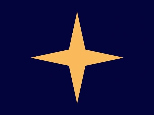 A simple orange four-pointed star on a dark blue background.