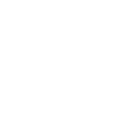 The Mora Group