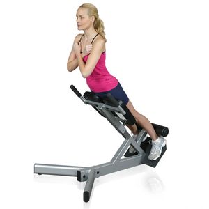 Inflight Fitness Back Extension Bench