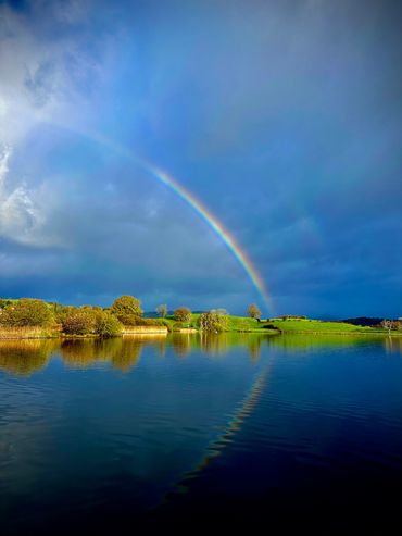 Rainbow arching over serene lake and green landscape.