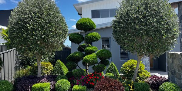 A neatly manicured garden with uniquely shaped shrubs and blooming flowers.