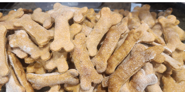 Pile of bone-shaped dog biscuits dusted with flour or powder.